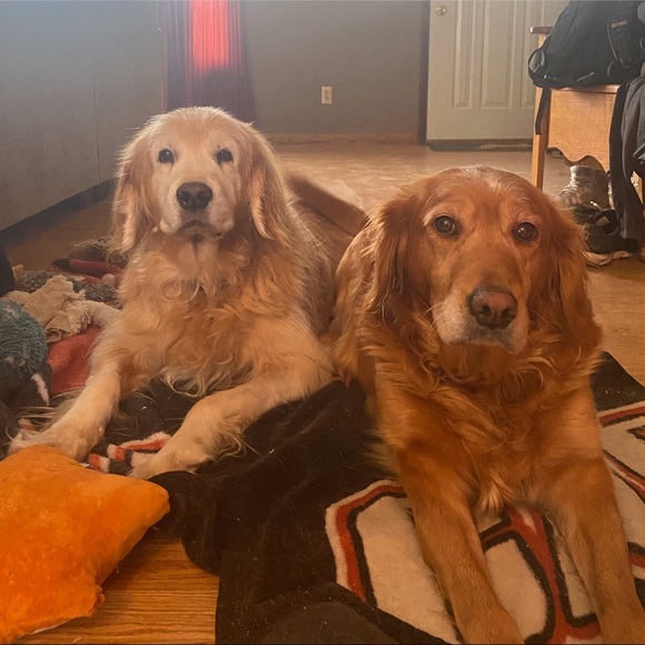 Meet your Posher, Dawn - Picture 10 of 10